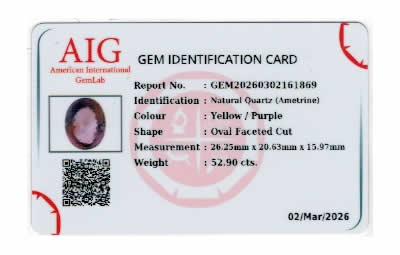 Gem Report