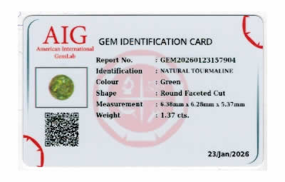 Gem Report