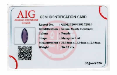 Gem Report