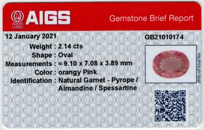 Gem Report