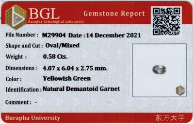 Gem Report