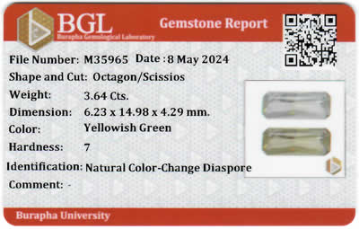 Gem Report