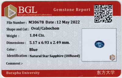 Gem Report