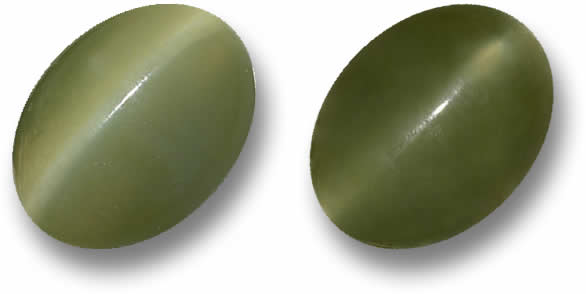 عين القط الأكتينوليت السائبة للبيع