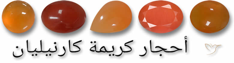 أحجار كريمة كارنيليان