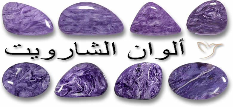 ألوان الشارويت
