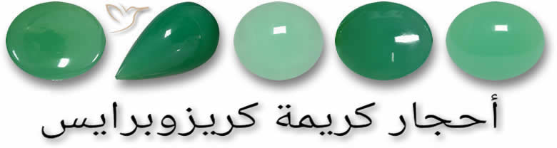الكريزوبرايس للكارما