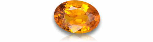 تنوع