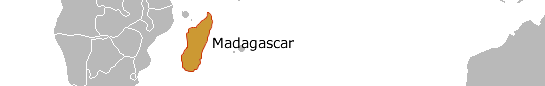 مدغشقر