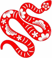 The year of the Snake