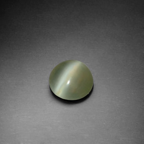 Actinolite Cat's Eye طبيعي بلون أخضر، وزن ‎1.22‎ قيراط، شكل دائري، مقاس ‎7.60‎ مم