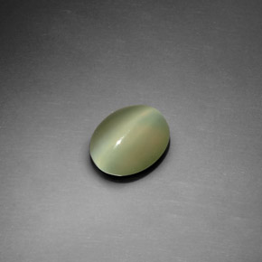Actinolite Cat's Eye طبيعي بلون أخضر، وزن ‎1.22‎ قيراط، شكل بيضاوى، مقاس ‎8.3x6.7‎ مم