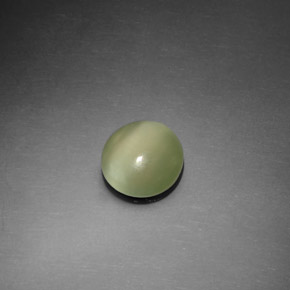Actinolite Cat's Eye طبيعي بلون أخضر، وزن ‎1.10‎ قيراط، شكل دائري، مقاس ‎7.45‎ مم