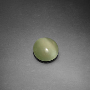 Actinolite Cat's Eye طبيعي بلون أخضر، وزن ‎1.10‎ قيراط، شكل دائري، مقاس ‎7.45‎ مم