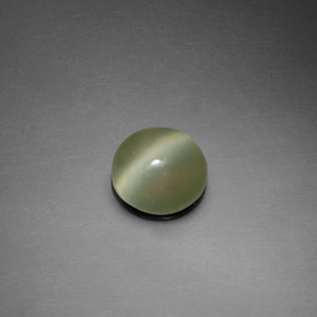 Actinolite Cat's Eye طبيعي بلون أخضر، وزن ‎1.39‎ قيراط، شكل دائري، مقاس ‎7.54‎ مم