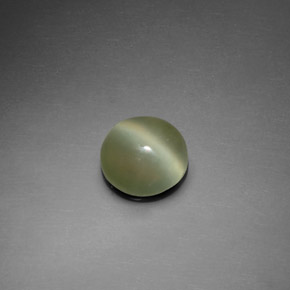 Actinolite Cat's Eye طبيعي بلون أخضر، وزن ‎1.39‎ قيراط، شكل دائري، مقاس ‎7.54‎ مم