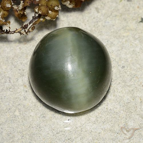 7.39ct طبيعي أخضر ترابى عين القط الأكتينوليت, دائري, نصف شفاف