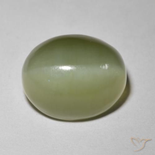 5.80ct طبيعي أخضر ترابى عين القط الأكتينوليت, بيضوي, نصف شفاف