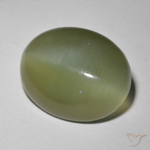 8.12ct طبيعي الأخضر الغامق عين القط الأكتينوليت, بيضوي, نصف شفاف