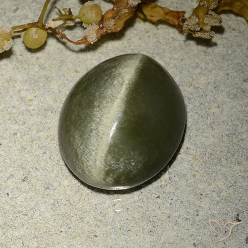 4.60ct طبيعي أخصر بنى عين القط الأكتينوليت, بيضوي, غير شفاف