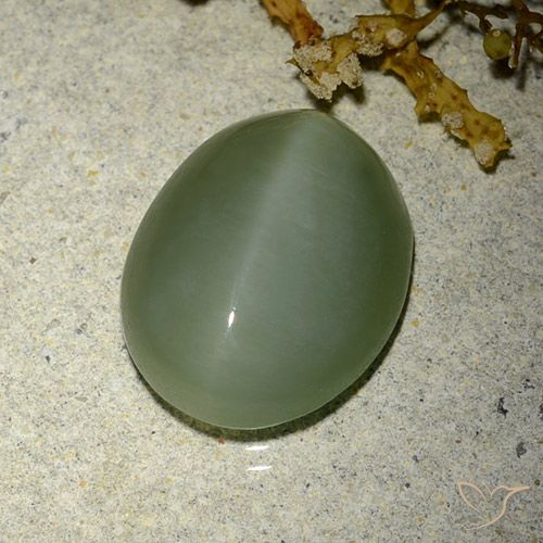 6.77ct طبيعي أخضر فاتح-متوسط عين القط الأكتينوليت, بيضوي, نصف شفاف