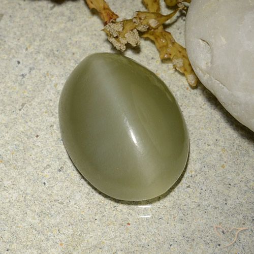 5.88ct طبيعي أخضر مصفر عين القط الأكتينوليت, بيضوي, نصف شفاف