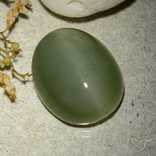 12.38ct طبيعي أخضر زيتونى عين القط الأكتينوليت, بيضوي, نصف شفاف