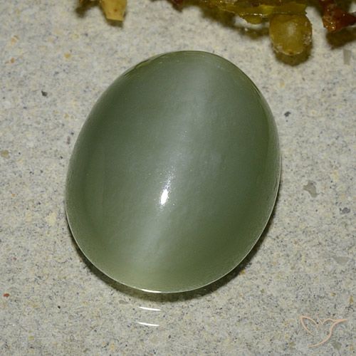 6.83ct طبيعي أخضر دافئ عين القط الأكتينوليت, بيضوي, نصف شفاف