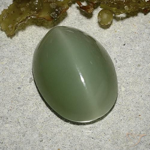 Actinolite Cat's Eye طبيعي بلون أخضر فاتح-متوسط، وزن ‎8.04‎ قيراط، شكل بيضاوى، مقاس ‎16x12‎ مم