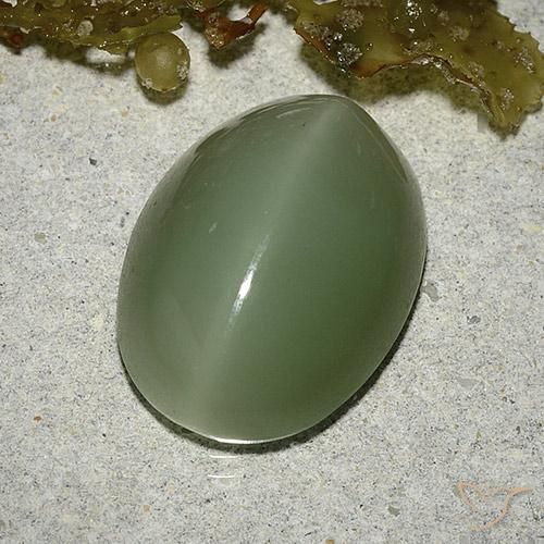 Actinolite Cat's Eye طبيعي بلون أخضر فاتح-متوسط، وزن ‎8.04‎ قيراط، شكل بيضاوى، مقاس ‎16x12‎ مم