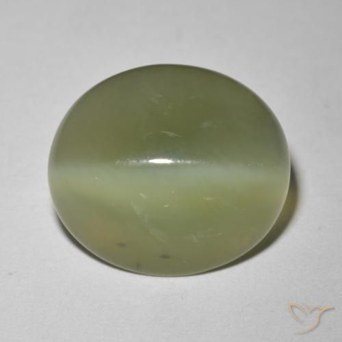 6.09ct طبيعي أخضر زيتونى عين القط الأكتينوليت, بيضوي, نصف شفاف