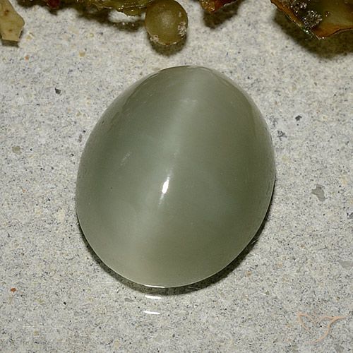 5.33ct طبيعي أخصر بنى عين القط الأكتينوليت, بيضوي, نصف شفاف