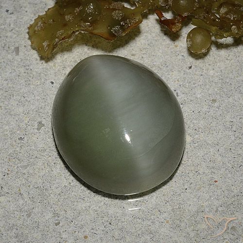 6.78ct طبيعي أخضر متوسط عين القط أكتينوليت, بيضوي, نصف شفاف