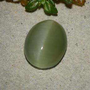 Actinolite Cat's Eye طبيعي بلون أخضر زيتونى، وزن ‎5.33‎ قيراط، شكل بيضاوى، مقاس ‎13.3x10.7‎ مم
