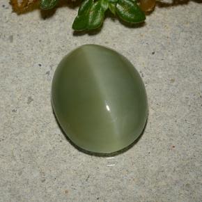 Actinolite Cat's Eye طبيعي بلون أخضر زيتونى، وزن ‎5.33‎ قيراط، شكل بيضاوى، مقاس ‎13.3x10.7‎ مم