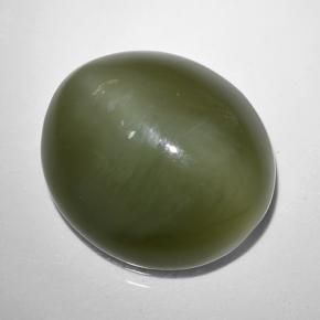 Actinolite Cat's Eye طبيعي بلون أخضر، وزن ‎9.44‎ قيراط، شكل بيضاوى، مقاس ‎14.4x13.1‎ مم