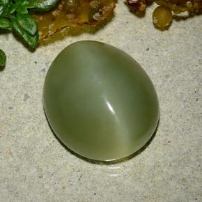 Actinolite Cat's Eye طبيعي بلون أخضر، وزن ‎9.08‎ قيراط، شكل بيضاوى، مقاس ‎14.7x12.7‎ مم