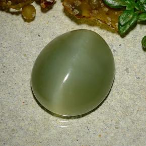 Actinolite Cat's Eye طبيعي بلون أخضر، وزن ‎9.08‎ قيراط، شكل بيضاوى، مقاس ‎14.7x12.7‎ مم