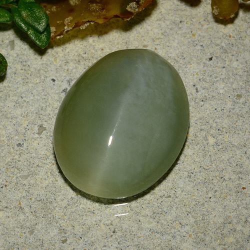 Actinolite Cat's Eye طبيعي بلون أخضر متوسط، وزن ‎4.86‎ قيراط، شكل بيضاوى، مقاس ‎13.2x10.6‎ مم