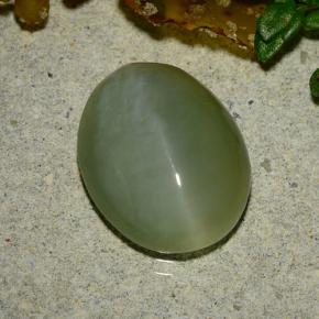 Actinolite Cat's Eye طبيعي بلون أخضر متوسط، وزن ‎4.86‎ قيراط، شكل بيضاوى، مقاس ‎13.2x10.6‎ مم