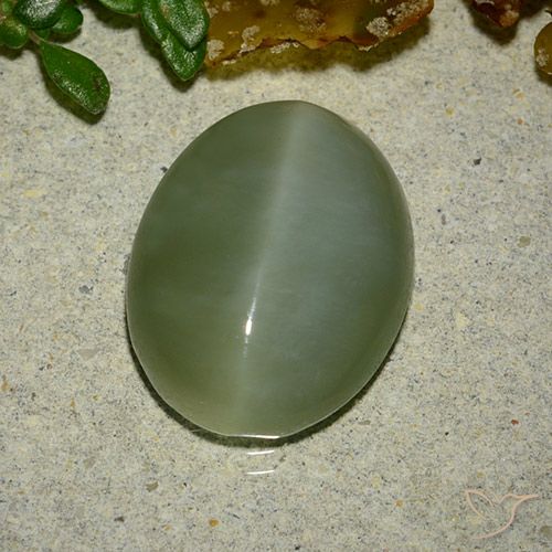 6.48ct طبيعي أخضر متوسط عين القط الأكتينوليت, بيضوي, نصف شفاف