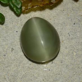 Actinolite Cat's Eye طبيعي بلون أخضر، وزن ‎3.59‎ قيراط، شكل بيضاوى، مقاس ‎10.8x8.7‎ مم