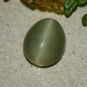 Actinolite Cat's Eye طبيعي بلون أخضر، وزن ‎3.59‎ قيراط، شكل بيضاوى، مقاس ‎10.8x8.7‎ مم