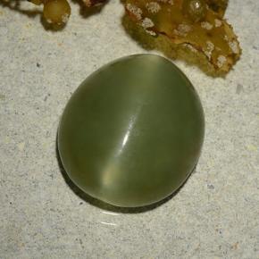Actinolite Cat's Eye طبيعي بلون أخضر زيتونى، وزن ‎5.70‎ قيراط، شكل بيضاوى، مقاس ‎13.1x11.5‎ مم