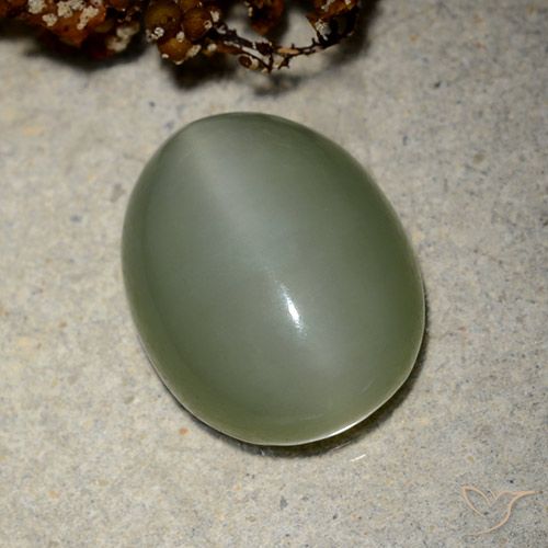 10.66ct طبيعي أخضر متوسط عين القط الأكتينوليت, بيضوي, نصف شفاف