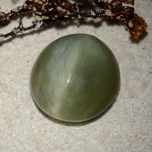 8.89ct طبيعي أخضر غامق عين القط الأكتينوليت, بيضوي, نصف شفاف