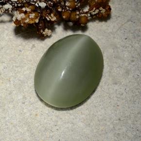 Actinolite Cat's Eye طبيعي بلون أخضر زيتونى، وزن ‎4.81‎ قيراط، شكل بيضاوى، مقاس ‎13.2x10.2‎ مم