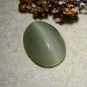 Actinolite Cat's Eye طبيعي بلون أخضر زيتونى، وزن ‎4.81‎ قيراط، شكل بيضاوى، مقاس ‎13.2x10.2‎ مم