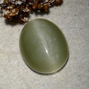 Actinolite Cat's Eye طبيعي بلون أخضر، وزن ‎9.06‎ قيراط، شكل بيضاوى، مقاس ‎15.2x12.2‎ مم