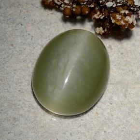 Actinolite Cat's Eye طبيعي بلون أخضر، وزن ‎9.06‎ قيراط، شكل بيضاوى، مقاس ‎15.2x12.2‎ مم